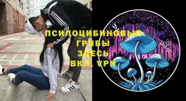 прущая мука Горнозаводск