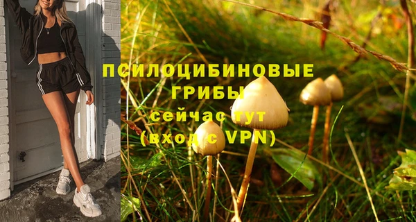 мет Надым
