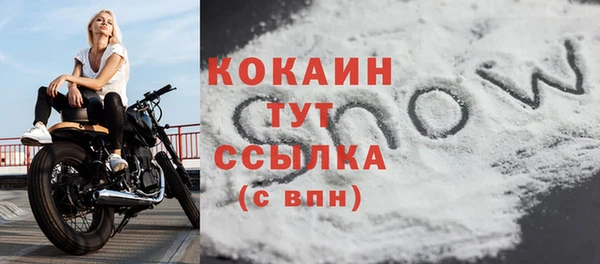 крисы Горно-Алтайск